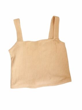 American Eagle Ripped Cropped Tank